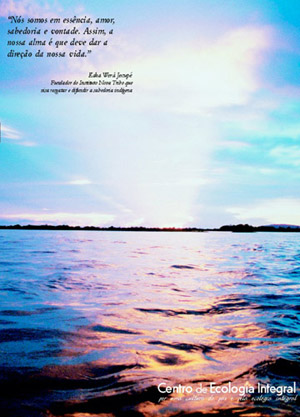 Quarta capa Revista Ecologia Integral 19