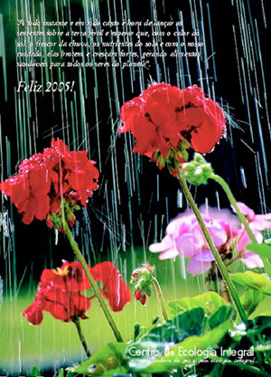Quarta capa Revista Ecologia Integral 22