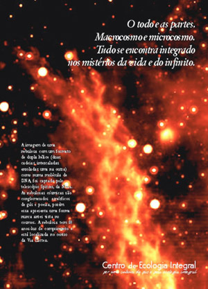 Quarta capa Revista Ecologia Integral 27